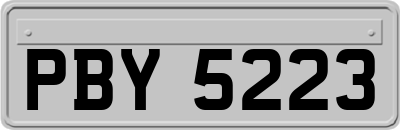 PBY5223