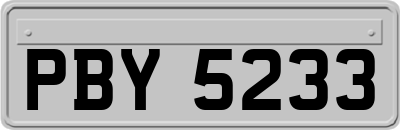 PBY5233