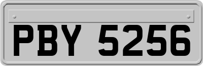 PBY5256