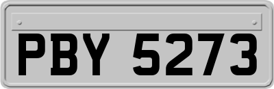 PBY5273