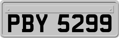 PBY5299