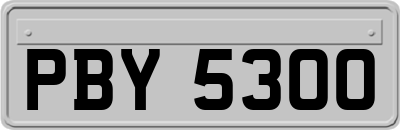 PBY5300