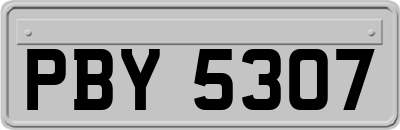 PBY5307