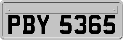 PBY5365