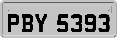 PBY5393