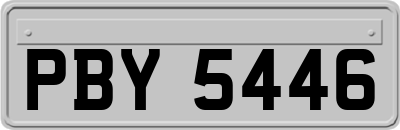 PBY5446