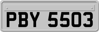 PBY5503