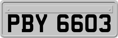 PBY6603