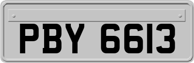 PBY6613