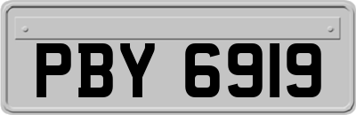 PBY6919