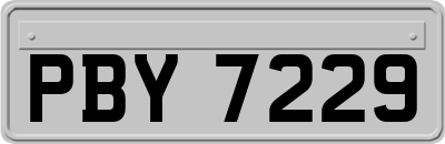 PBY7229