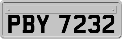 PBY7232