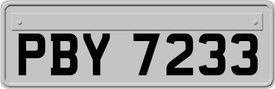 PBY7233