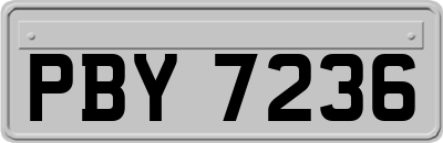 PBY7236