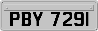 PBY7291