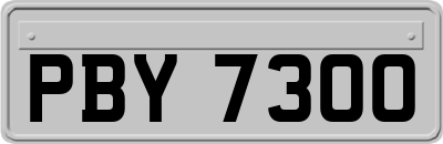 PBY7300