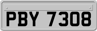 PBY7308