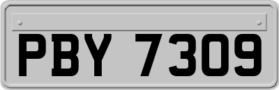 PBY7309