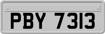 PBY7313