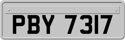 PBY7317