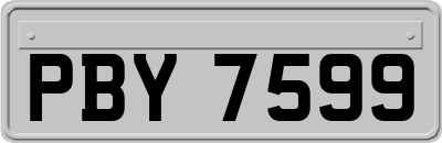 PBY7599