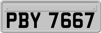 PBY7667