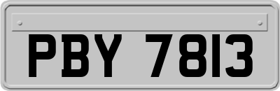 PBY7813