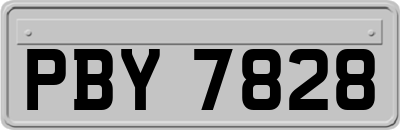 PBY7828