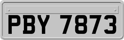 PBY7873