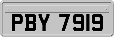 PBY7919