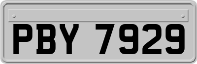 PBY7929