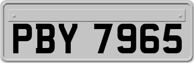 PBY7965