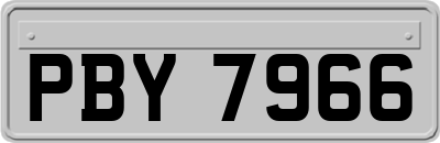 PBY7966