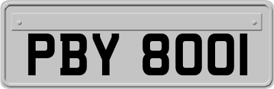 PBY8001