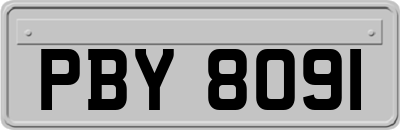 PBY8091