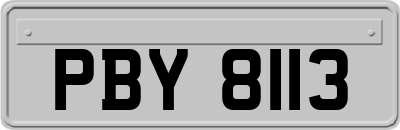 PBY8113