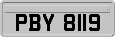 PBY8119