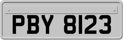 PBY8123