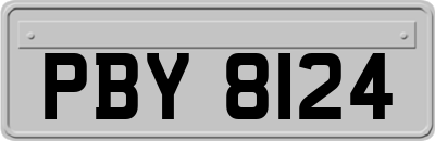 PBY8124