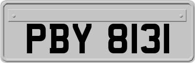 PBY8131