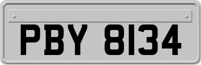 PBY8134