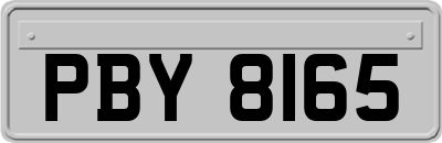 PBY8165