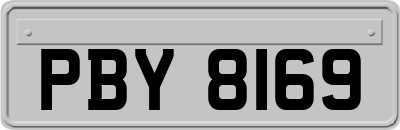 PBY8169