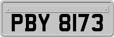 PBY8173