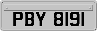 PBY8191