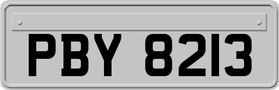 PBY8213