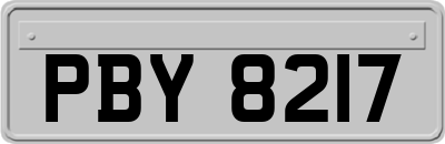 PBY8217