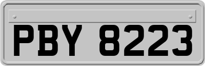 PBY8223