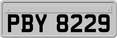 PBY8229