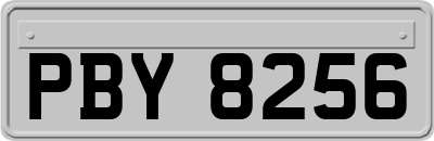 PBY8256